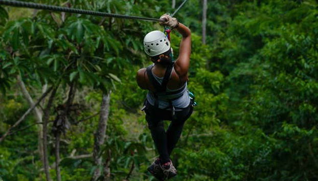 Limón Zip Line Tour - Foto 3