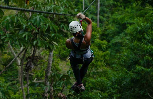 Circuit de tyroliennes à Limón - Photo 1