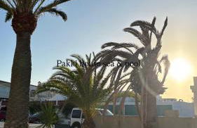 PAKKI house - Photo 21