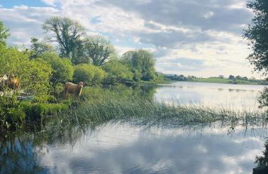 Keenaghan Cottage Belleek Fermanagh Northern Ireland - Foto 42