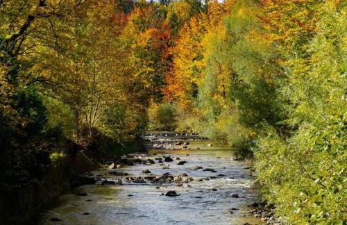 Ferienwohnung in den Ruhpoldinger Bergen - Foto 59