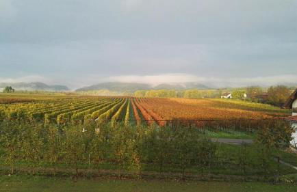 Valley ferienwohnung SÜW - Foto 10