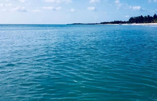 Beach Paradise by Oceanfront Condos - Foto 43