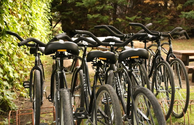 Cabañas la Chacra - Foto 53