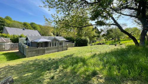 Daisy Cabin - Photo 5