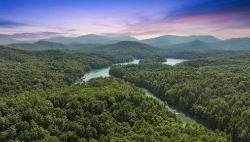 Secluded Luxe A Frame Lodge~ Hot Tub~ Fire Pit - Foto 5