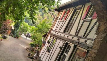 Alter Winzerhof - Foto 4