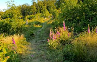 Rauszeit-Tiny Waldblick - Foto 41