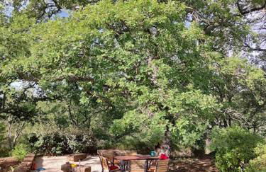 Haus im Naturpark Luberon - Foto 3