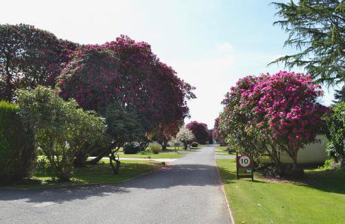 Talland Bay - Photo 9