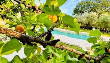 Agriturismo Podere Valdo - Foto 5