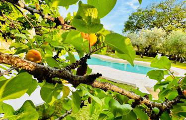 Agriturismo Podere Valdo - Foto 5