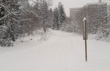FeWo Schwarzwald von oben - Kniebis - Foto 36
