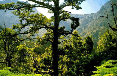 Villa Buena Vista - Foto 36