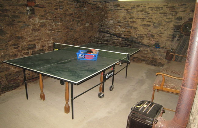 Comfortable Holiday Home Near Vineyards in Bremm - Foto 61