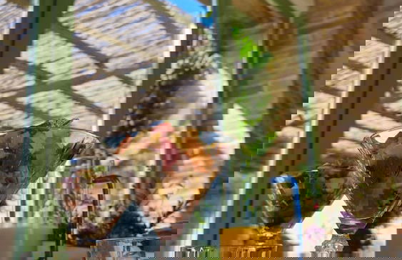 Tenuta d'Arbia - Foto 31