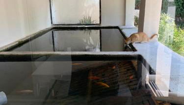 Terre de Lumière 3 - Foto 3