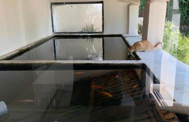 Terre de Lumière 3 - Foto 3