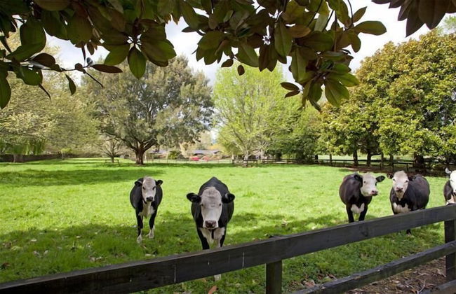 Magnolia Park - Photo 31