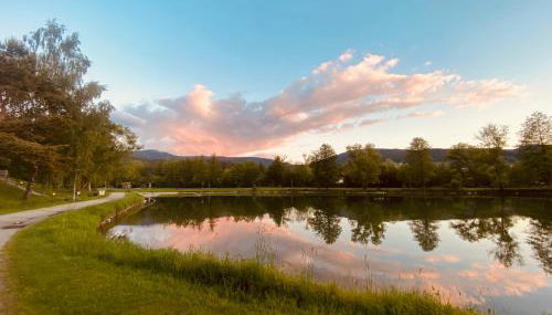 Haus Sonnenblick - Foto 4