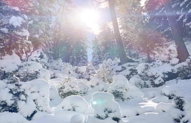 Cosy Apartment in Neustift in the Stubaital - Foto 37