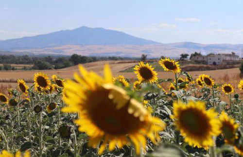 Masseria Agriturismo Moschella - Foto 31