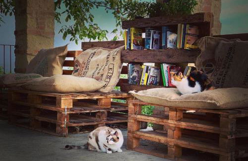 Pet and Breakfast Pet Friendly Country House - Foto 31