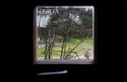 Bungalow B9 - Nature, Beach & River - Foto 30