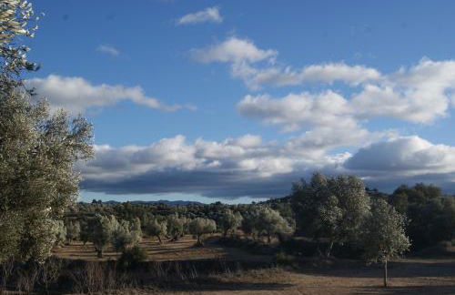 Ave Fénix - Foto 23