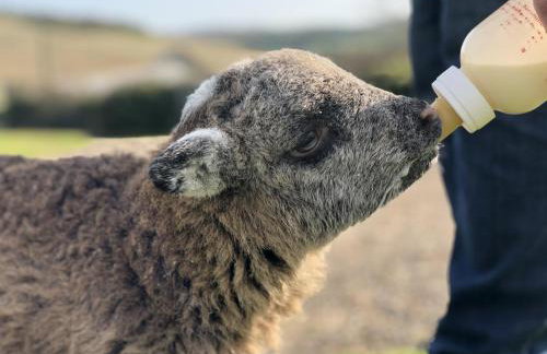 2 Bed in Whitwell oc-o33499 - Foto 20