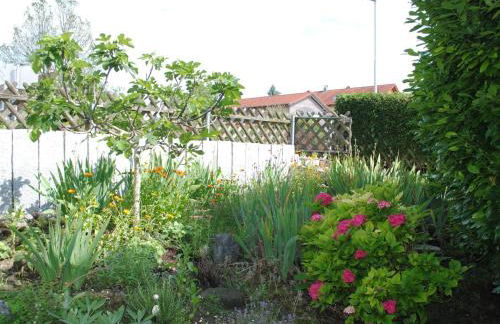 Ferienhaus Joos - Foto 6