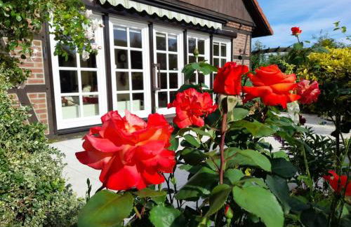 Ferienhaus Gartower See - Foto 1