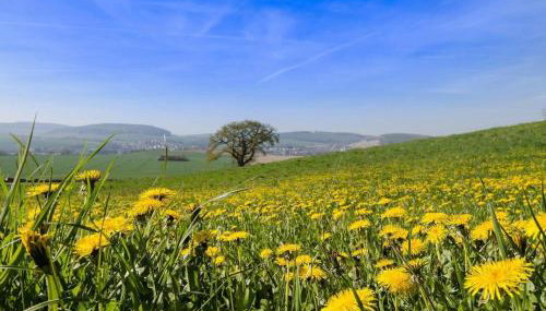 Apartment Große Wohnung in Bodenwerder mit Garten- Terrasse und gemeinsamem Pool by Interhome - Foto 5
