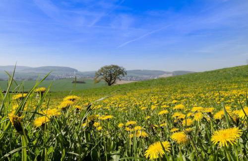 Apartment Große Wohnung in Bodenwerder mit Garten- Terrasse und gemeinsamem Pool by Interhome - Foto 5