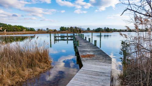 Very Private and Spacious Waterfront Family House - Foto 4