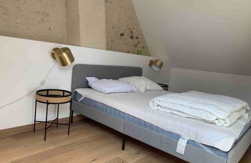 Maison de famille - grand jardin clos - 15mn du zoo de Beauval - Photo 6