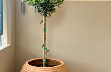 Domus Philippi & parking - Foto 31