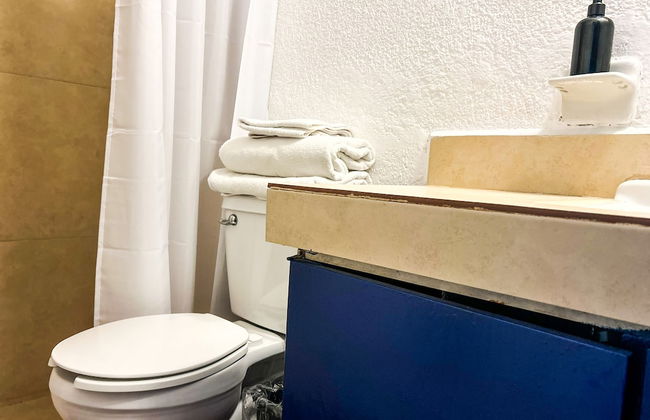 Departamentos Lomas SLP - Foto 64