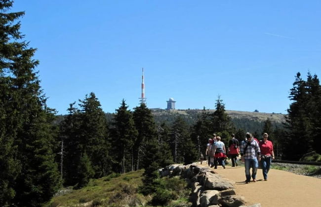 Bungalow in Neustadt Nahe Barbarossa Hohle - Foto 37