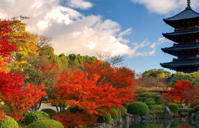 Free tour por Nara - Foto 8