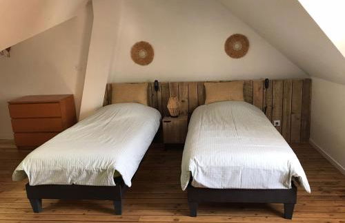 Le saint Pierre - Foto 9