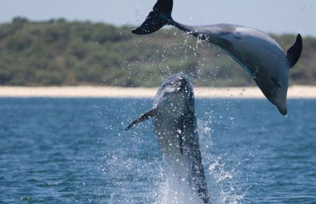 Soltroia lake Dream house - Foto 54