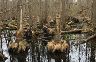 Ostseeruhe - Foto 16