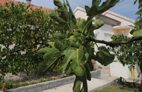 Orhideja Apartment - Foto 27