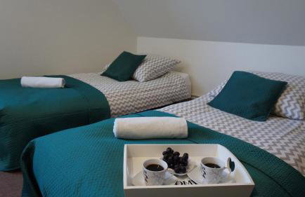 Domy całoroczne Osada na Górce - Foto 3