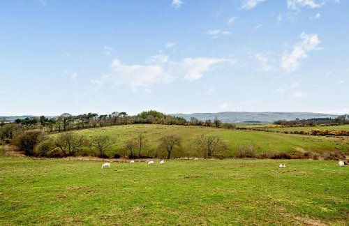 1 Bed in Dalry 91417 - Foto 16