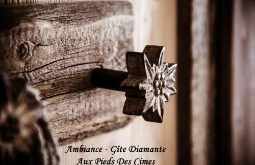 Aux pieds des cimes - Foto 29