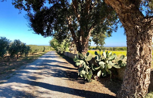 Agriturismo Monte Argentario - Foto 68