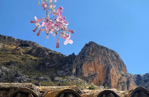 Cortijo el Chorreadero en Parque Natural Sierra de Cazorla - Foto 14