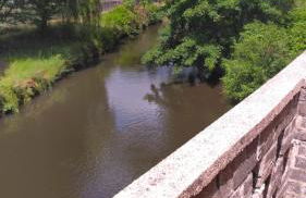 Chez Alain - Foto 39